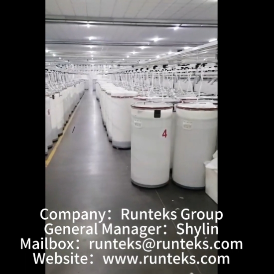 Runteks の MVS マシンのビデオ